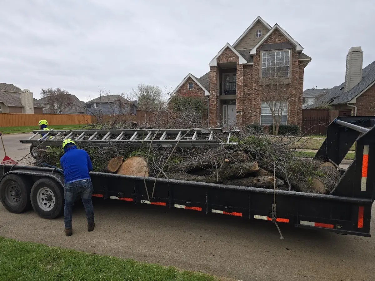 Expert Tree Removal with proper safety equipment in Withams